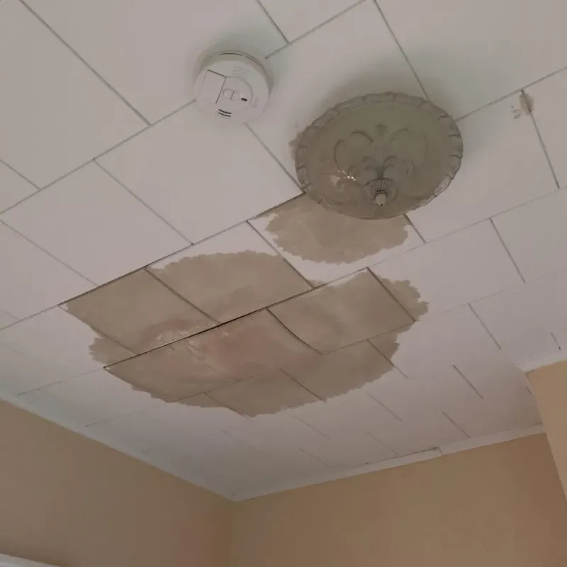 Ceiling Water Damage Repair in Hebron, CT