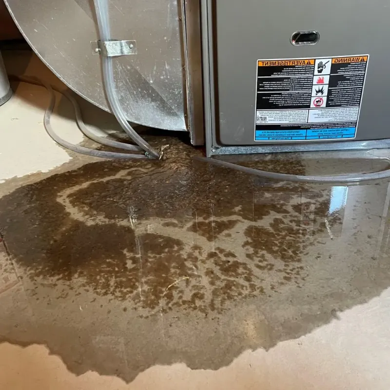 Pipe Burst and Leak Restoration in Hebron, CT