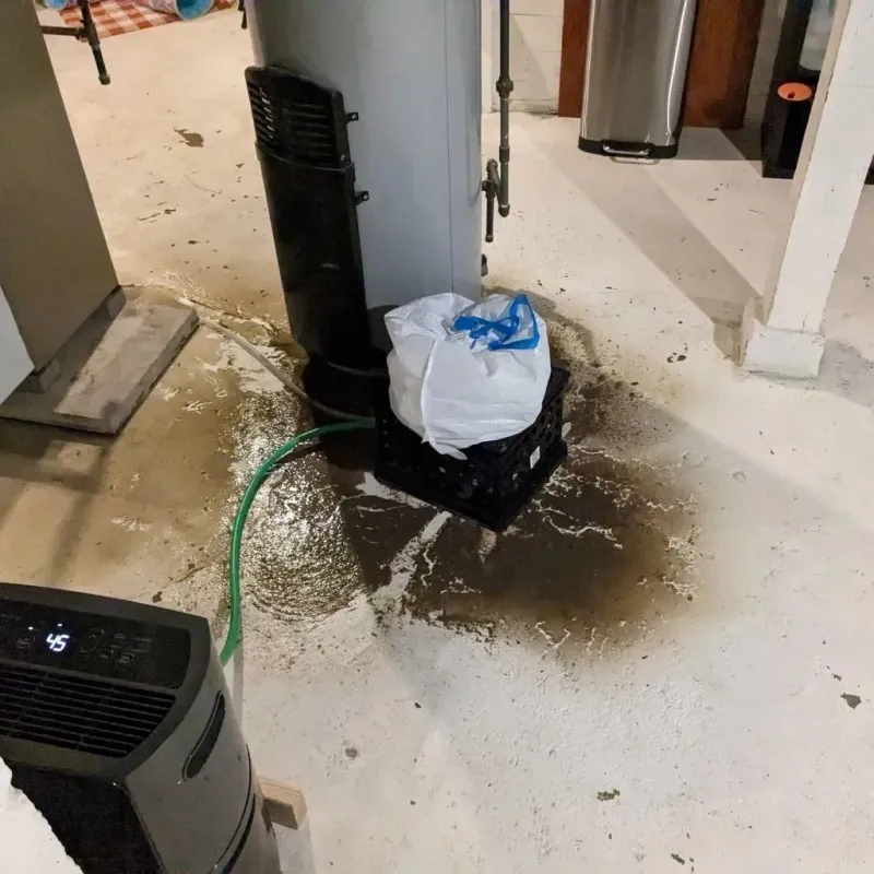 Sewage Backup Cleanup Service in Hebron, CT
